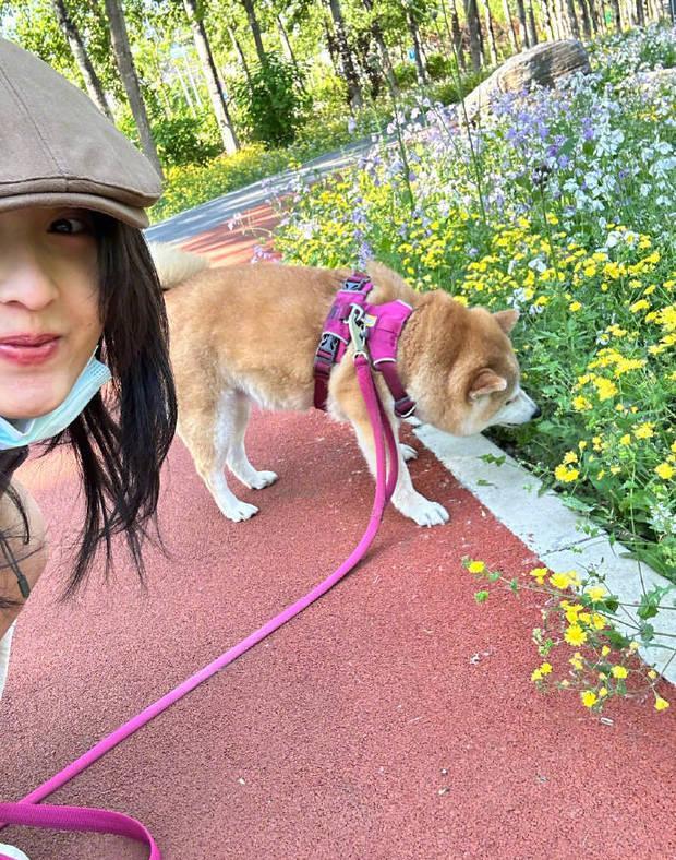张子枫与爱犬互动