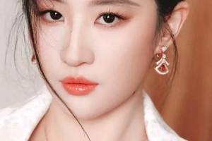 精选图片集锦：视觉盛宴一览