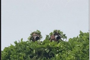 于正新剧《玉茗茶骨》热拍，古力娜扎领衔七男主阵容