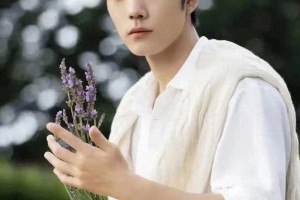 刘亦菲、肖战、杨紫等明星最新动态大揭秘