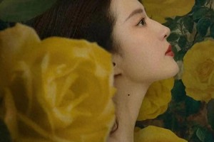《玫瑰的故事》黄亦玫情感归宿解析：刘亦菲演绎四段刻骨恋情