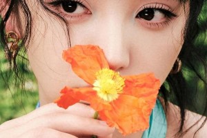 多图展示：精选图片合集欣赏