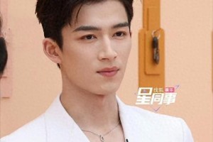 多图展示：精选图片集锦