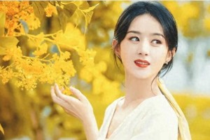 赵丽颖林更新约会真相？泉州同框只是误会【明星绯闻解析】
