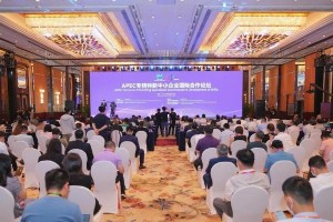 广东高考放榜：33.3万人上本科线，志愿填报策略解析