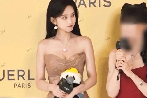 精彩图片集锦：视觉盛宴一览